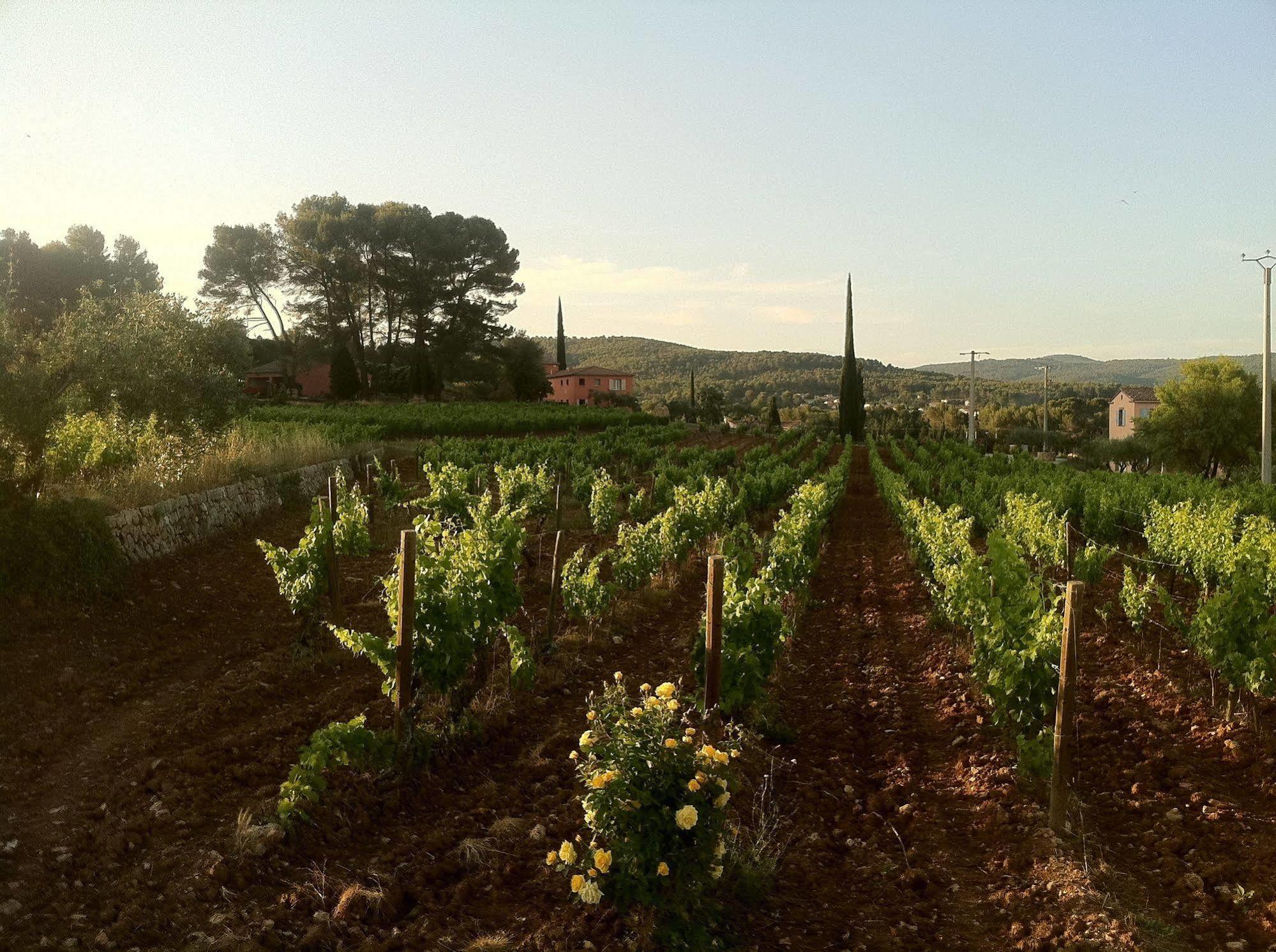 Domaine Rabiega Hotel Flayosc Buitenkant foto